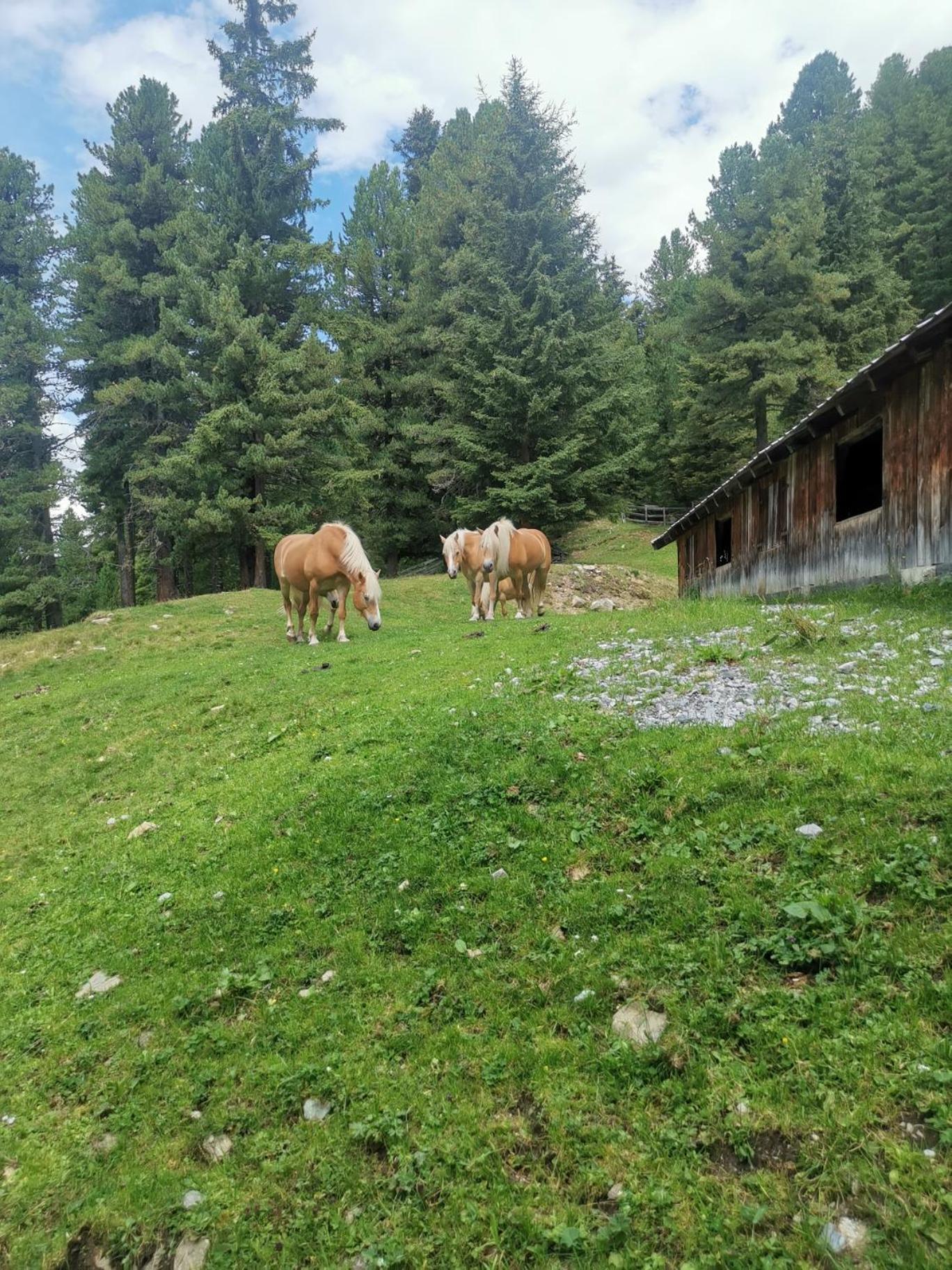אפרטהוטל יארצנס Pitztal Living מראה חיצוני תמונה